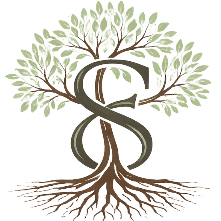 EasyStep Logo